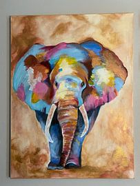Colorful Elephant by Charlotte Langenberg