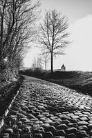 Oude-Kwaremont