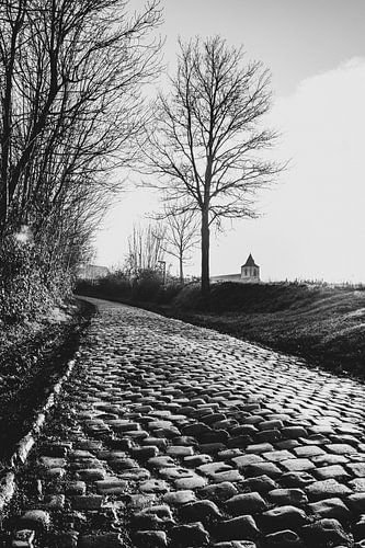 Oude-Kwaremont von Stijn Bastens