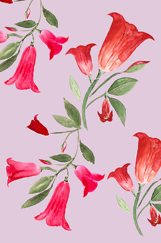 Fleurs d'été Mandeville