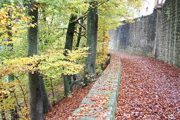 Stadtmauer von Bad Neustadt im Herbst