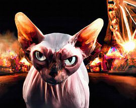 Angry looking Sphynx cat at illuminated fairground by Maud De Vries
