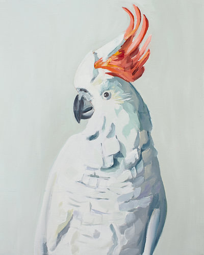 White Cockadoo
