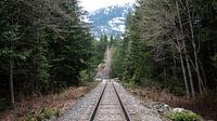 Railroad