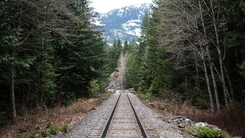 Railroad par Bjorn van der Wee