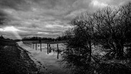flooded floodplains along the IJssel with jacobsladder by nol ploegmakers