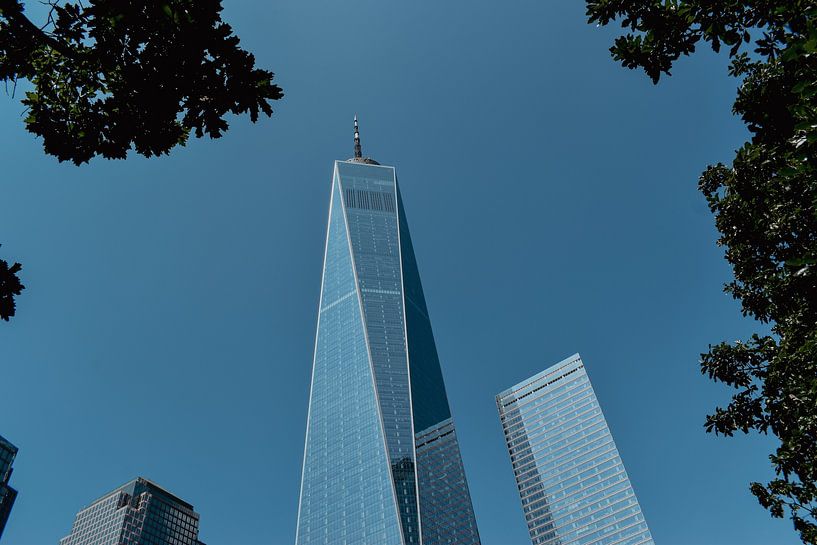 One Trade Centre, New York City by Amy Ekkelboom