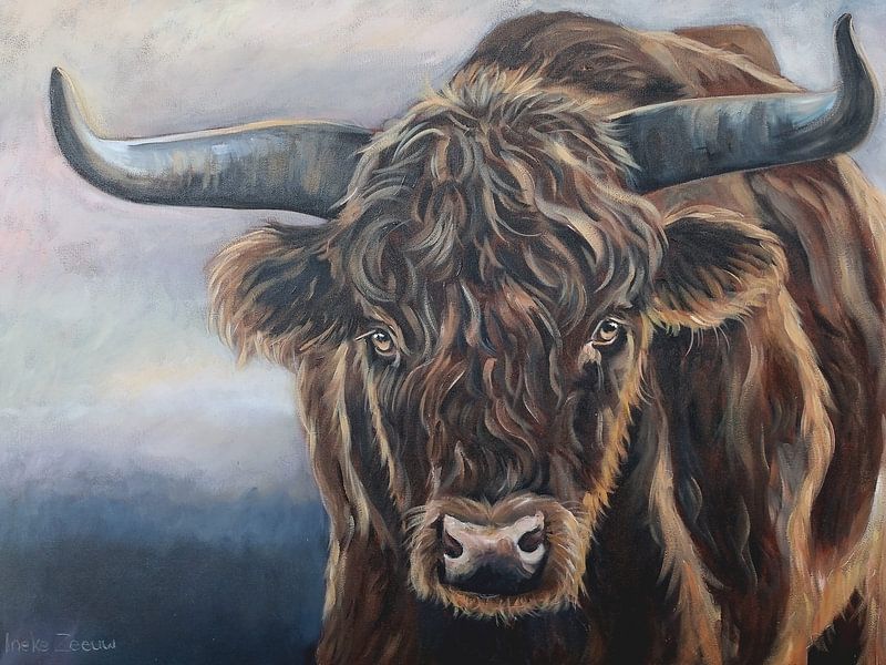 Schotse hooglander 1 van Ineke Zeeuw