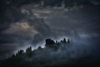 Dans la brume du matin