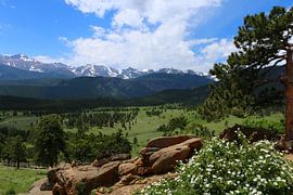 Glorious Rocky Mountain Morning  - Wunderschöner Morgen in den Rockys
