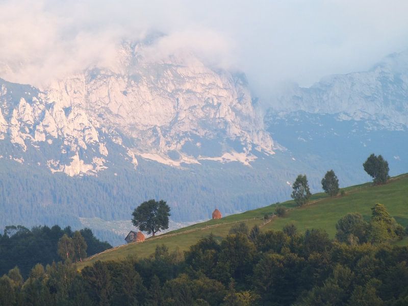 Mountain Vue by Marinescu Dan
