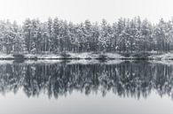 Winter Minimalism by Yanuschka | Fotografie Noordwijk thumbnail