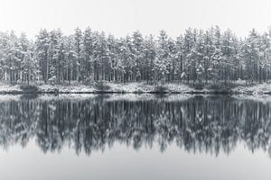Minimalisme hivernal