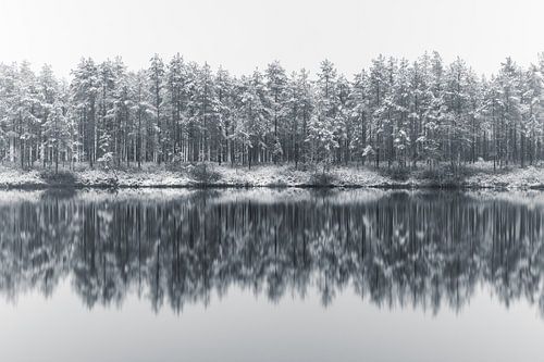 Winterbos met een meertje, Finland