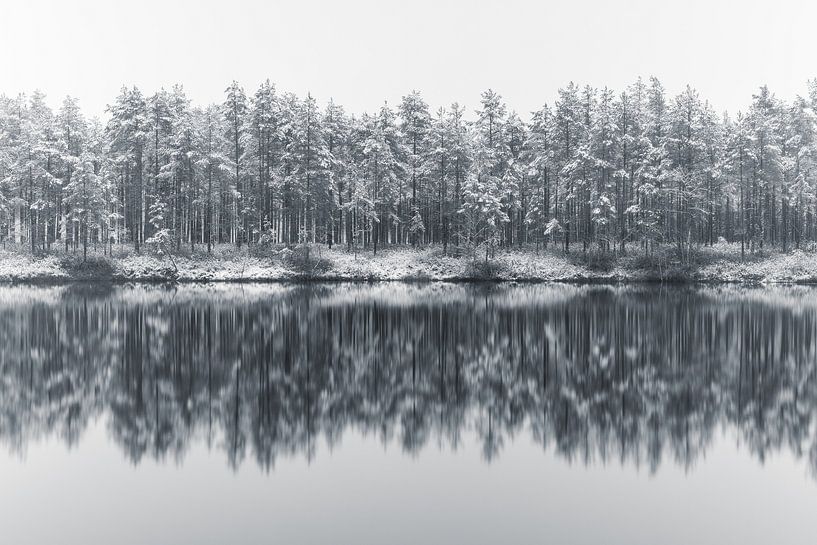 Winter Minimalism by Yanuschka | Fotografie Noordwijk