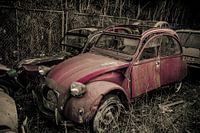 2cv