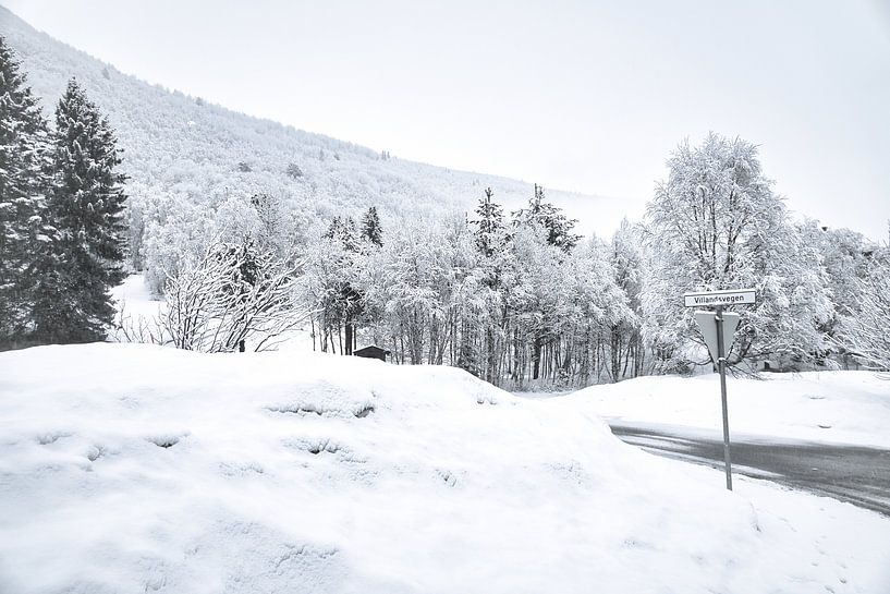 Norwegian high mountains, snow-covered mountains and landscape by Martin Köbsch