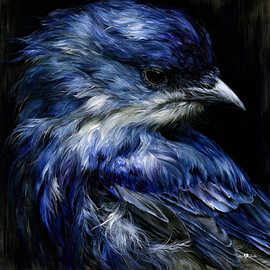Vögelchen in Ölfarbe von Gelissen Artworks