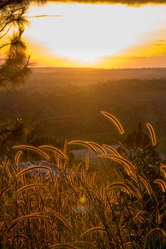 Kambodschanischer Sonnenuntergang von Sofie Bogaert