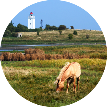 Horse and Lighthouse van Jörg Hausmann