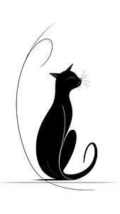 Katze Zeichnung Schwarz und Weiß