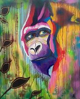 Color-rilla James