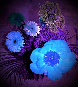 Mysterieuze blauwe bloemen van Ineke de Rijk