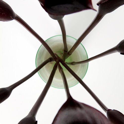 Vase von oben (#6, Vase von IKEA)