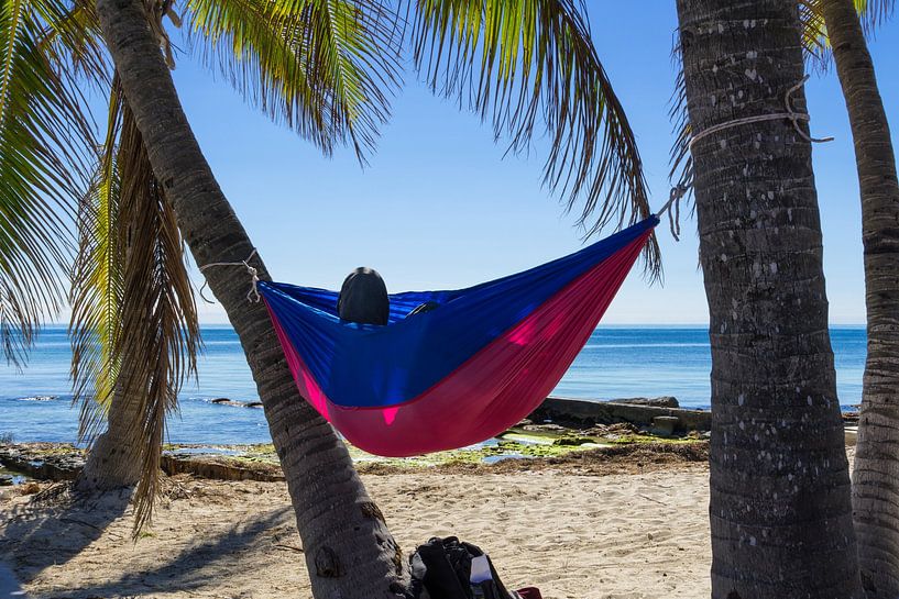 Verenigde Staten, Florida, kleurrijke hangmat opknoping tussen palmboomstammen van adventure-photos