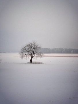Winter 03 van Ilona Picha-Höberth