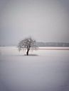Winter 03 von Ilona Picha-Höberth Miniaturansicht