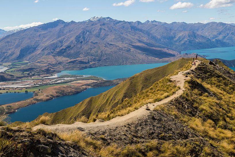 Roys Peak, Lake Wanaka von Willem Vernes