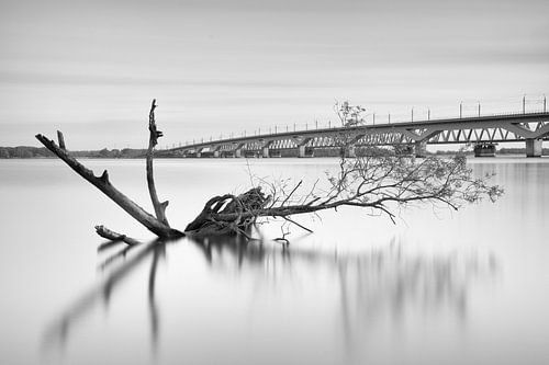 De spoorbruggen over het Hollands Diep bij Moerdijk