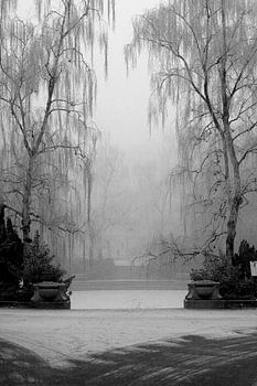 Noorderplantsoen in de Winter 9