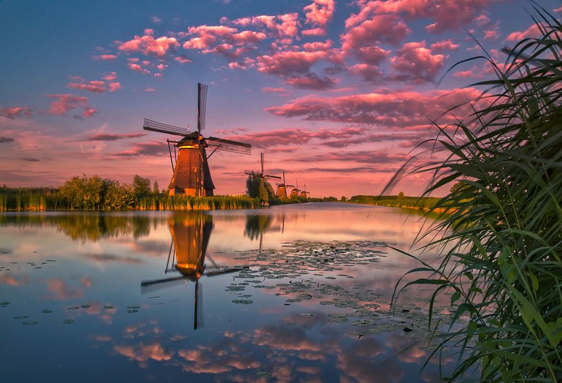 Zonsondergang in Kinderdijk von Rob Bout