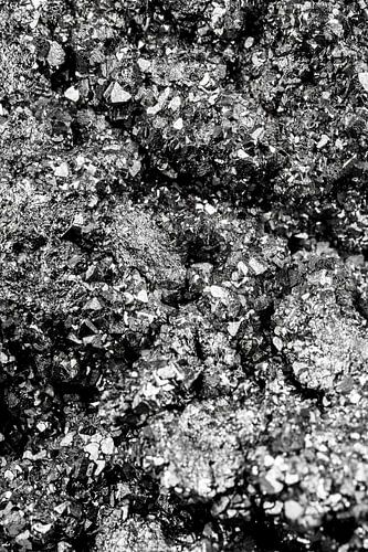 Pyriet Power, le manifestant