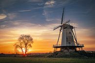 Windmill De Windhond, Soest by Frank Verburg thumbnail