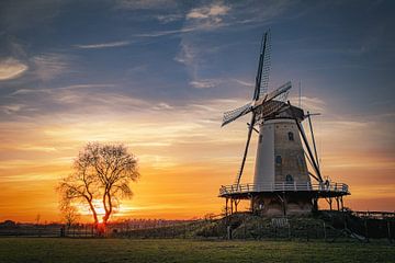 Windmill De Windhond, Soest by Frank Verburg