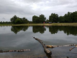 Camping Dartmore Park Engeland