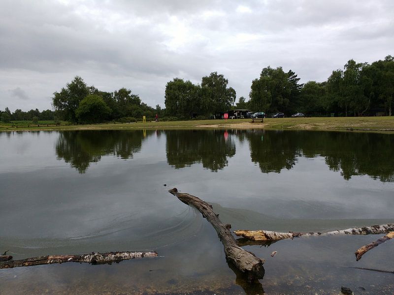 Camping Dartmore Park Engeland by Veluws