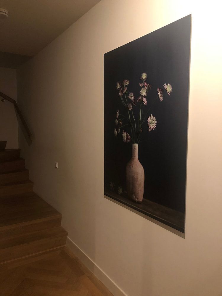 Stilleven met Astrantia Zeeuws knoopje  van Karin Bazuin 