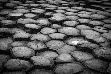 Détail de la Chaussée des Géants