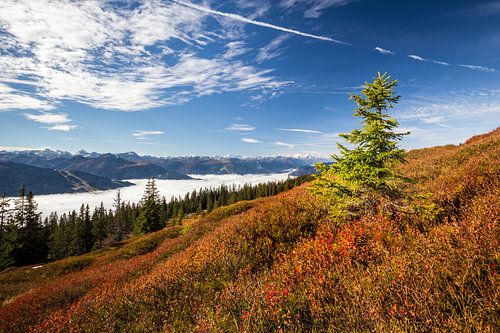 Berglandschap "Uitzicht boven de Wolken"