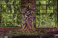 L'arbre gagne