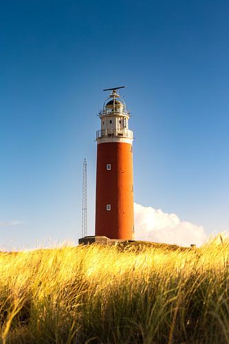 The lighthouse