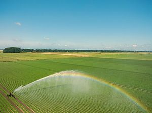 Bewässerungspistolen spritzen Wasser auf ein Feld