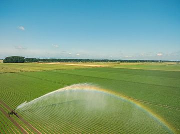 De machines van het irrigatiepivotkanon sproeien water op een veld van Sjoerd van der Wal Fotografie
