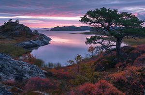 Herbstlandschaft