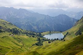 Seealpsee by Max Krauß