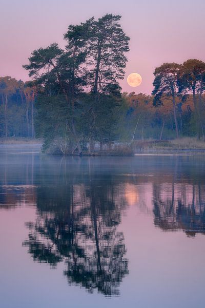 Setting moon at the Oisterwijkse Vennen with beautiful pastel colors. by Jos Pannekoek